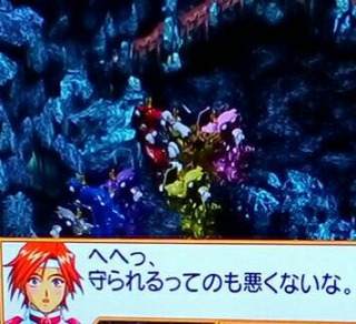 土蜘蛛庇う.jpg